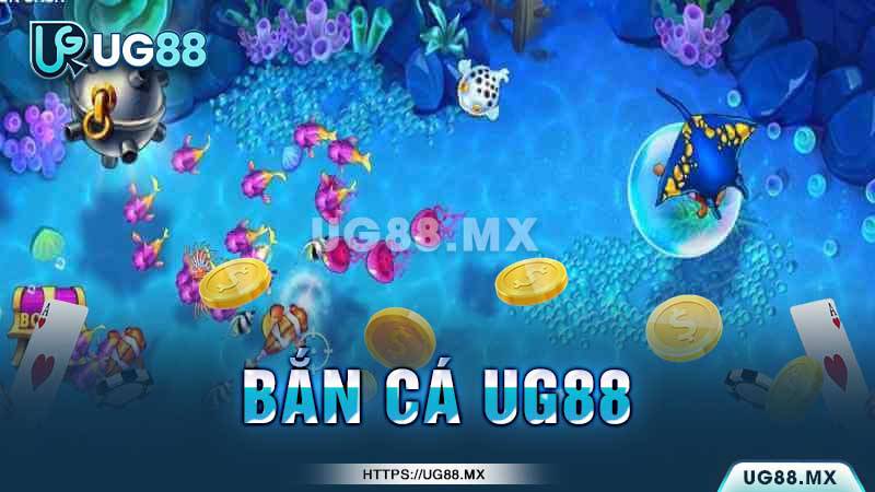 Hướng dẫn chơi cơ bản cho người mới