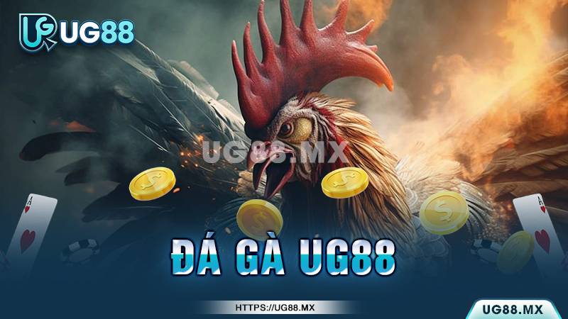 Thuật ngữ cần biết khi chơi đá gà online